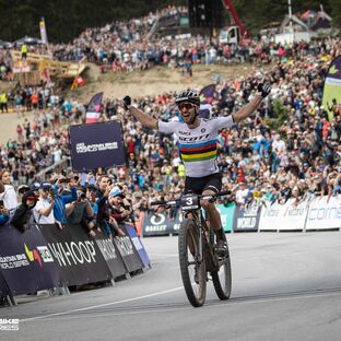 Uci wc hot sale